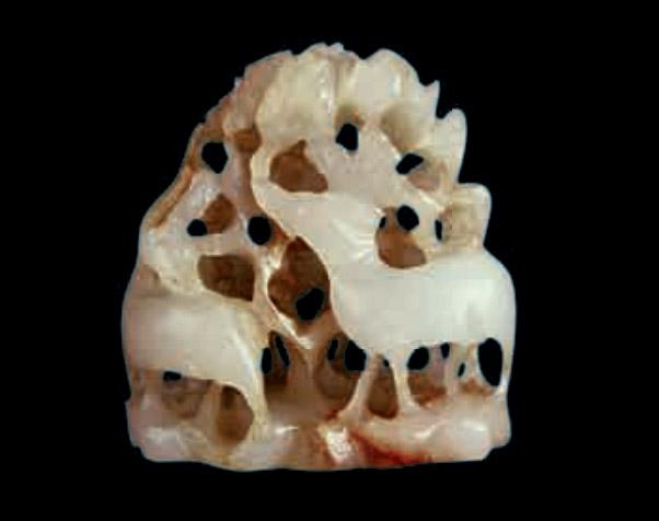 高最新全集探讨，内容与影响分析