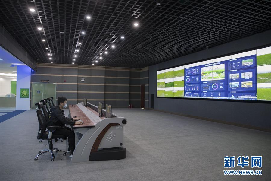 新澳资料免费精准期期准,操作实践评估_物联网版14.207