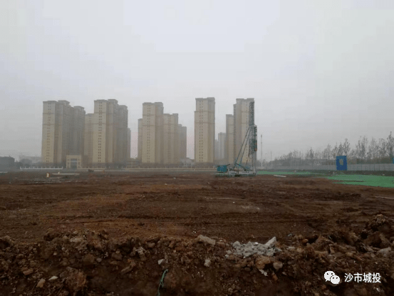 沙市最新疫情动态，疫情下的温情与陪伴日常