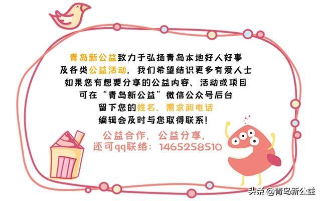 疫情挑战与机遇，最新确诊统计分析