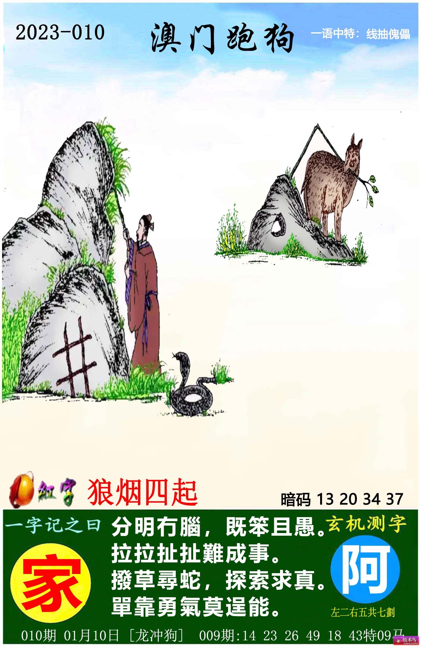 2024澳门最精准跑狗图,实际调研解析_明亮版7.473