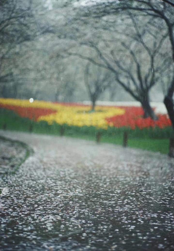 杭州冰雹最新动态，科技重塑天气预警，智能生活新篇章