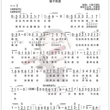 抖音音乐最新，旋律中的日常温情