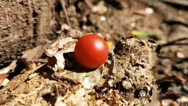 服务项目 第322页