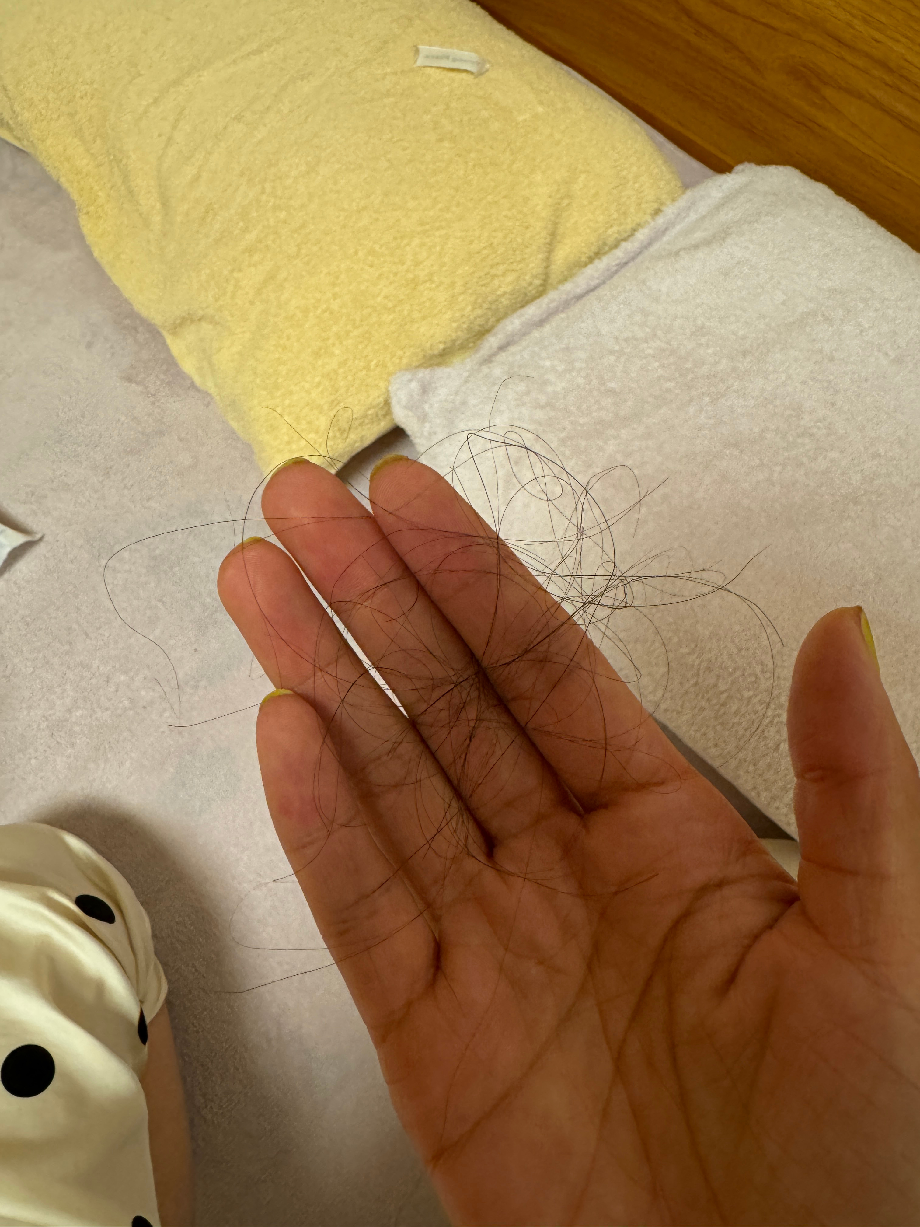 各类运输车辆 第314页