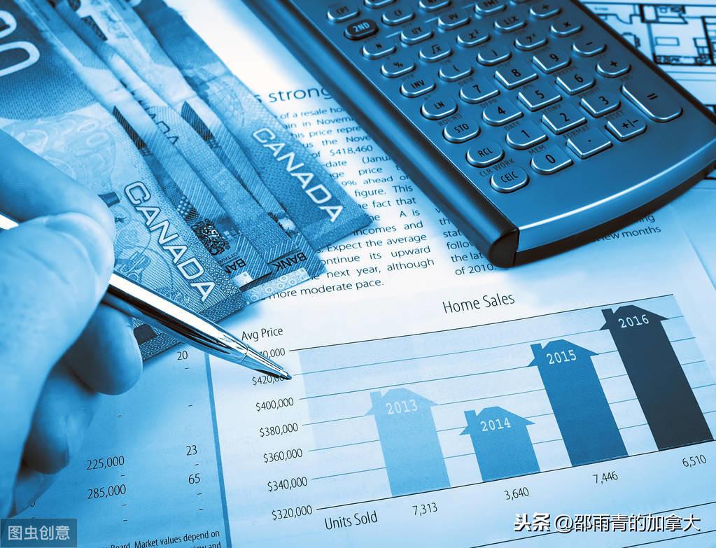 最新交规保险，探索小巷中的隐藏宝藏，领略不一样的保险世界