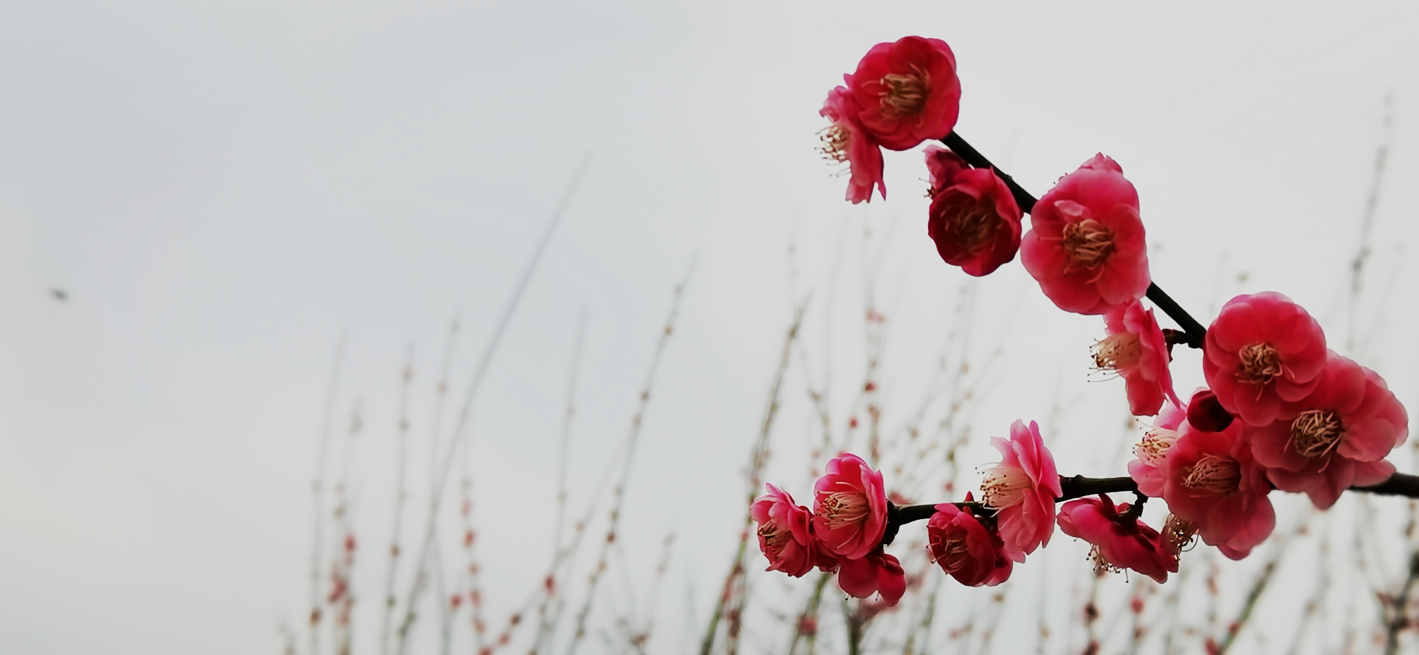 各类运输车辆 第308页