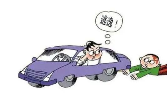 巷弄深处的神秘小店奇遇，最新逃逸事故揭秘