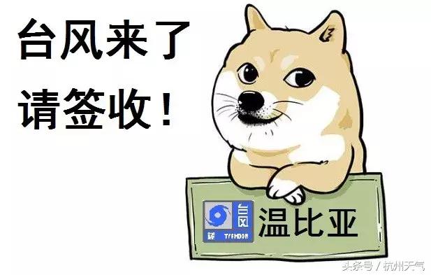 台风温比亚的最新动态，影响人类社会及应对之策