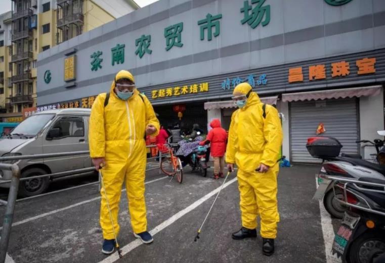 南京南京疫情最新消息,南京南京，疫情后的自然之旅，寻找内心的平静