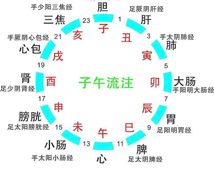 2024年新奥门天天开彩,天文学_供给版76.953