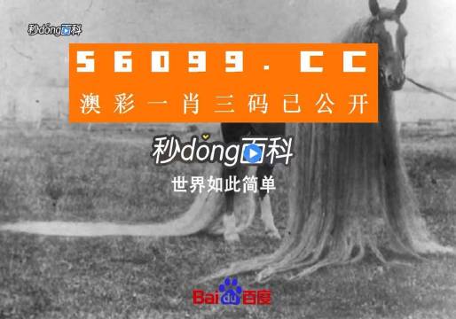 一肖一码一必中一肖,执行验证计划_创新版52.621