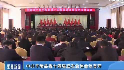 平陆新闻快讯，小巷深处的独特风味——特色小店探秘故事