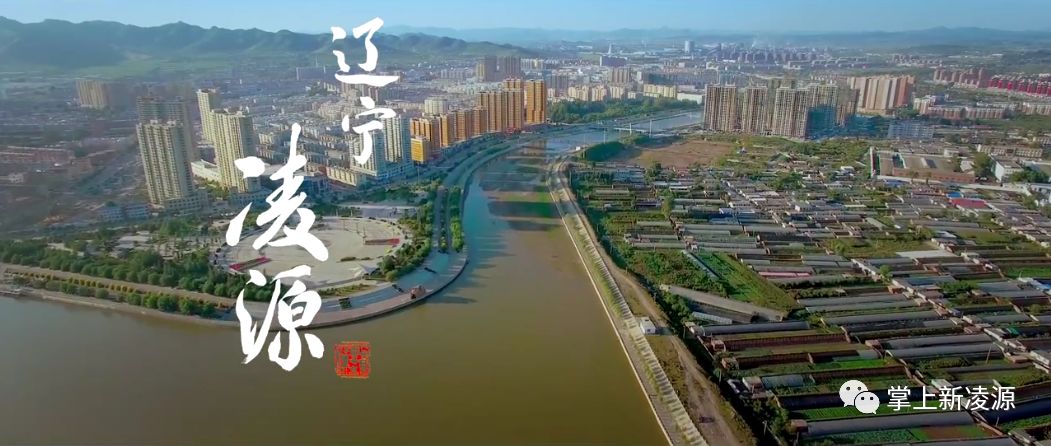 凌源最新传单派发员招聘启事