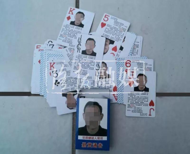 栾川租房最新动态，探寻理想住所的指南