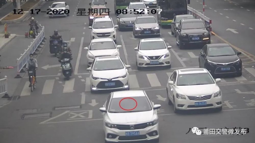 莆田最新批车牌号，自然美景的探索之旅启动