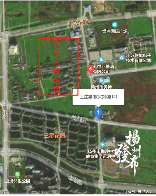 扬州文峰小学最新动态，友情与陪伴的美好时光
