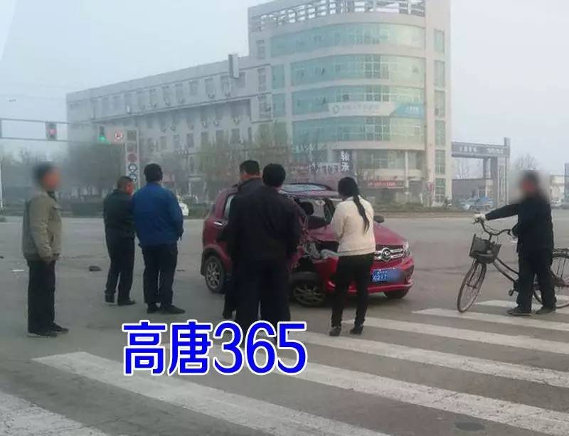 高唐最新二手电动轿车，与自然美景的亲密之旅