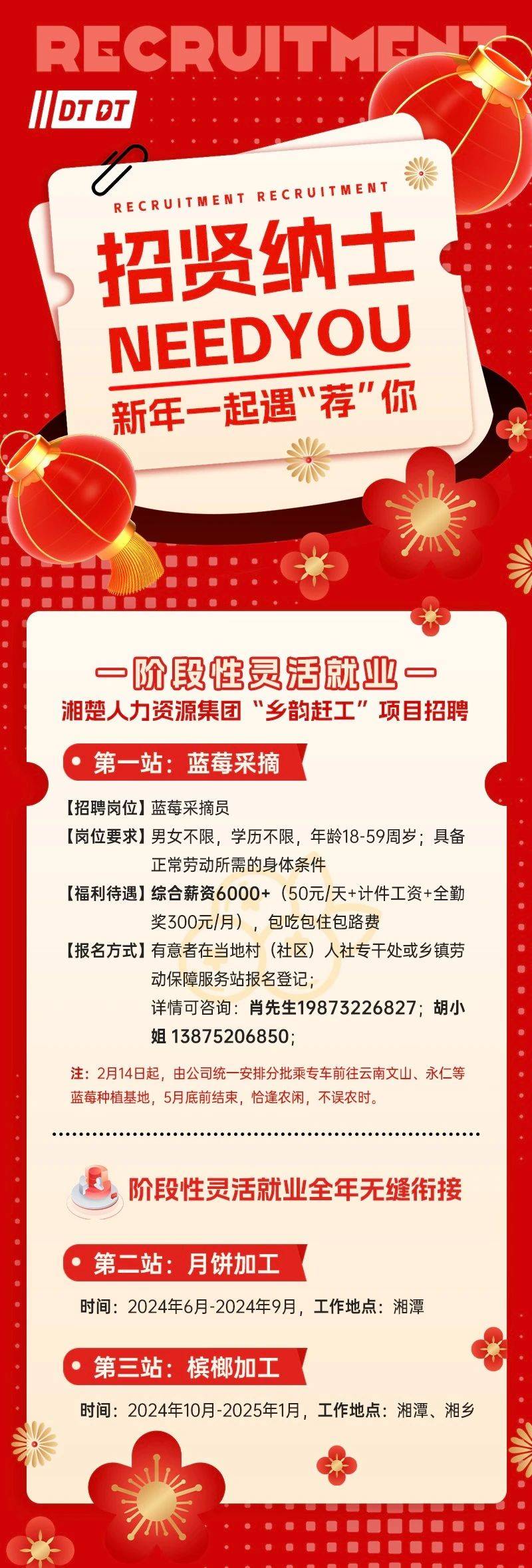 枫泾招聘网最新招聘信息及其动态分析