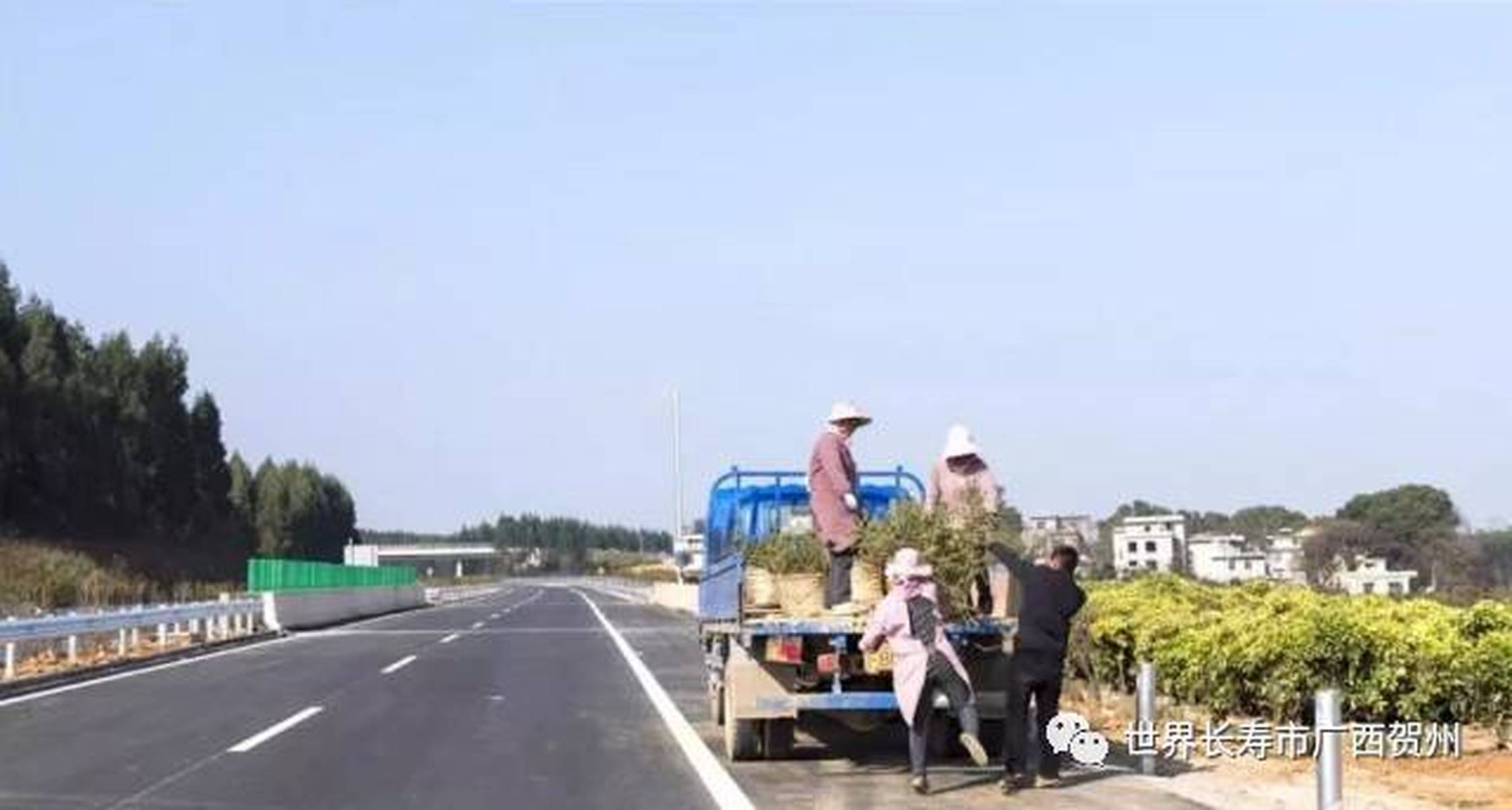 永贺高速最新消息与动态获取指南，实时掌握最新消息与新闻动态