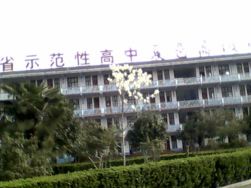 夏邑一高最新动态，温馨日常揭秘