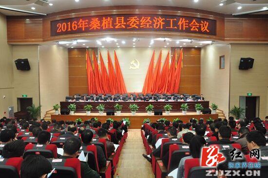 桑植新闻网最新动态，时代脉搏与地方发展同步前行