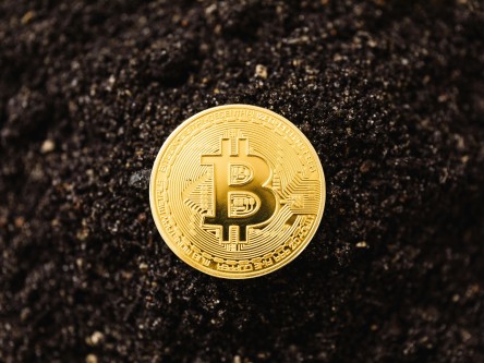 王朝阳储备币最新动态，科技引领未来，全新数字生活体验新篇章开启