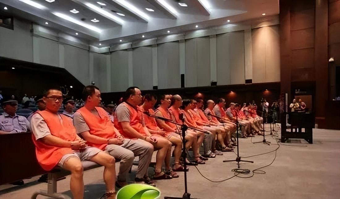 沙井龙哥最新消息揭秘，重磅更新，即刻掌握！