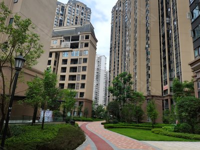 承平盛世二期最新图片揭秘，温馨日常与欢乐时光的记录