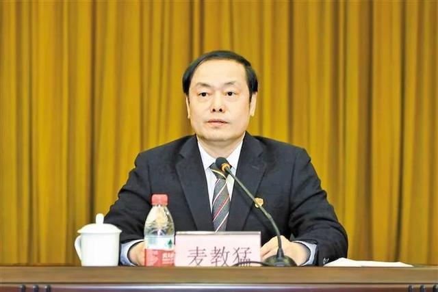 雷州市江毅最新动态，拥抱自然，心灵宁静之旅
