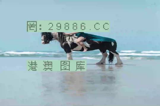 澳门一肖一码一必中一肖,澳门一码必中技巧揭秘_娱乐版2.04