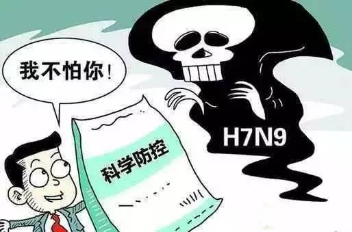 禽流感最新消息山东