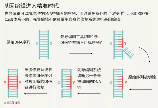 “澳门免费精准数据大全解析,综合版BQX28.36编辑版”