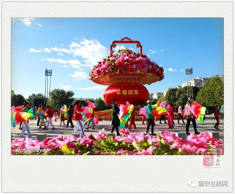 固安最新闻,温馨日常的趣事与情感纽带