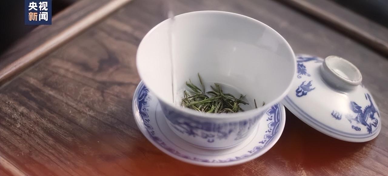 法观天下最新一期,探索自然美景之旅,寻觅内心平和之地
