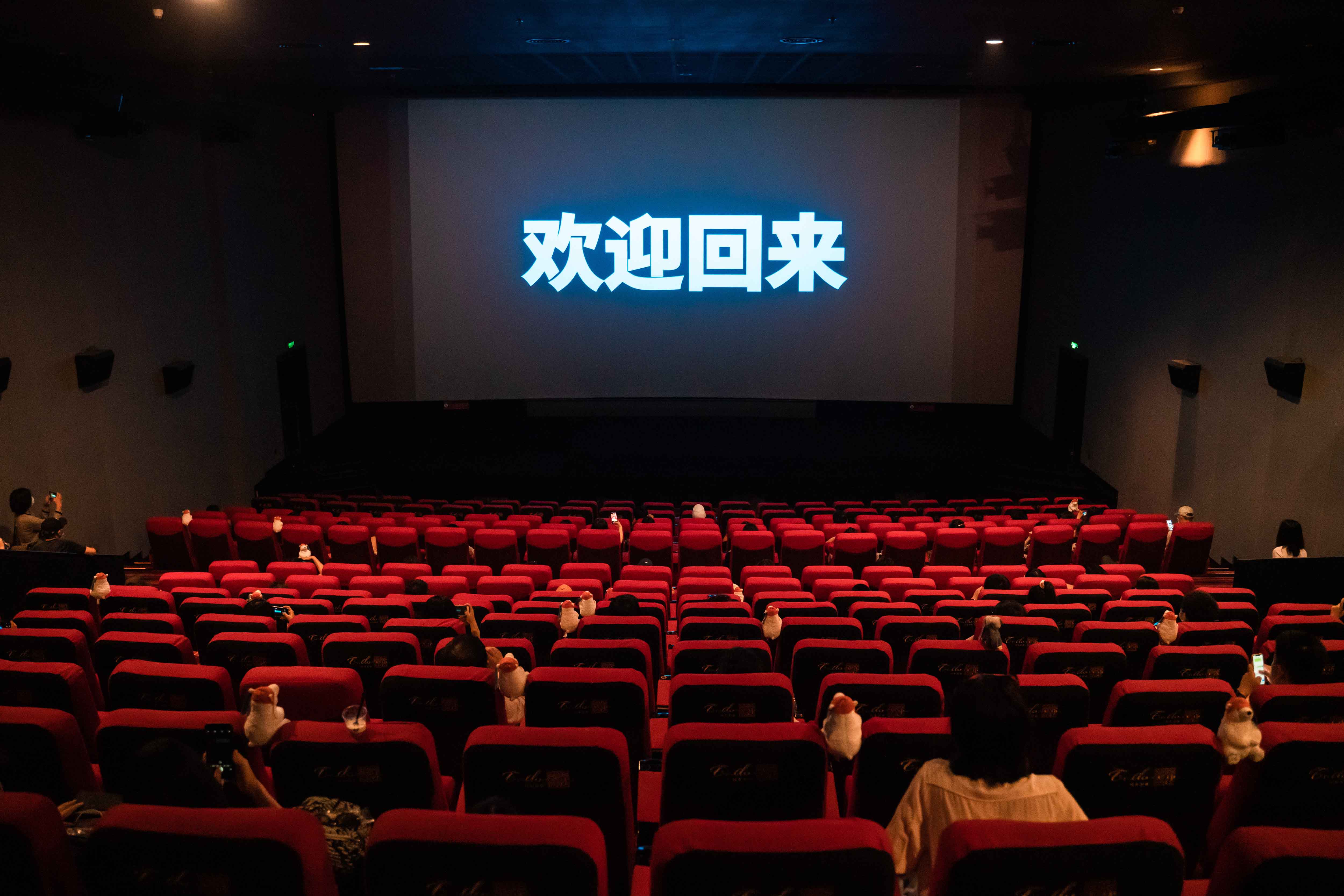 日加鲁最新影院,体验前沿影视文化的绝佳场所
