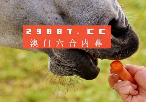 澳门金钥匙12码资料,定性解析明确评估_TFB51.641酷炫版