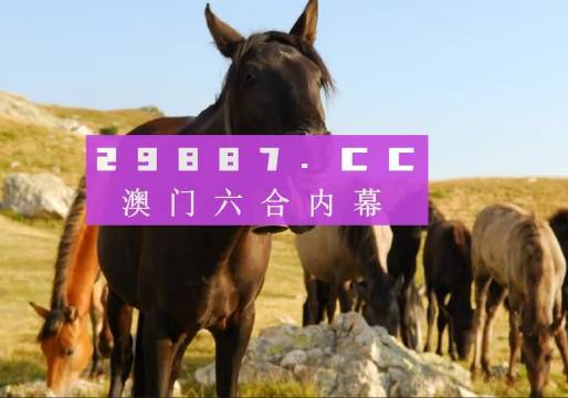 2024新澳门管家婆免费大全,重要性解释落实方法_Kindle54.23