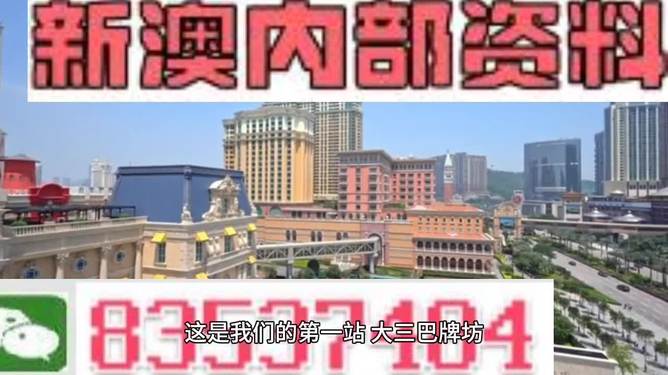 2024新澳最精准资料大全,实效设计计划解析_投资版36.913