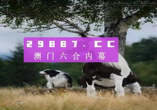 最精准澳门跑狗图,精细化实施分析_YHG23.560定制版
