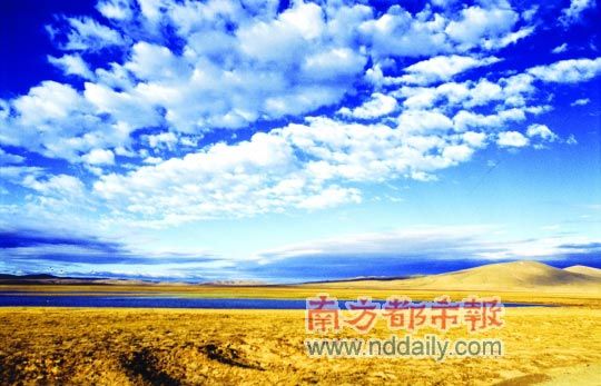 最新临清任免干部名单启航,一场自然美景的探索之旅