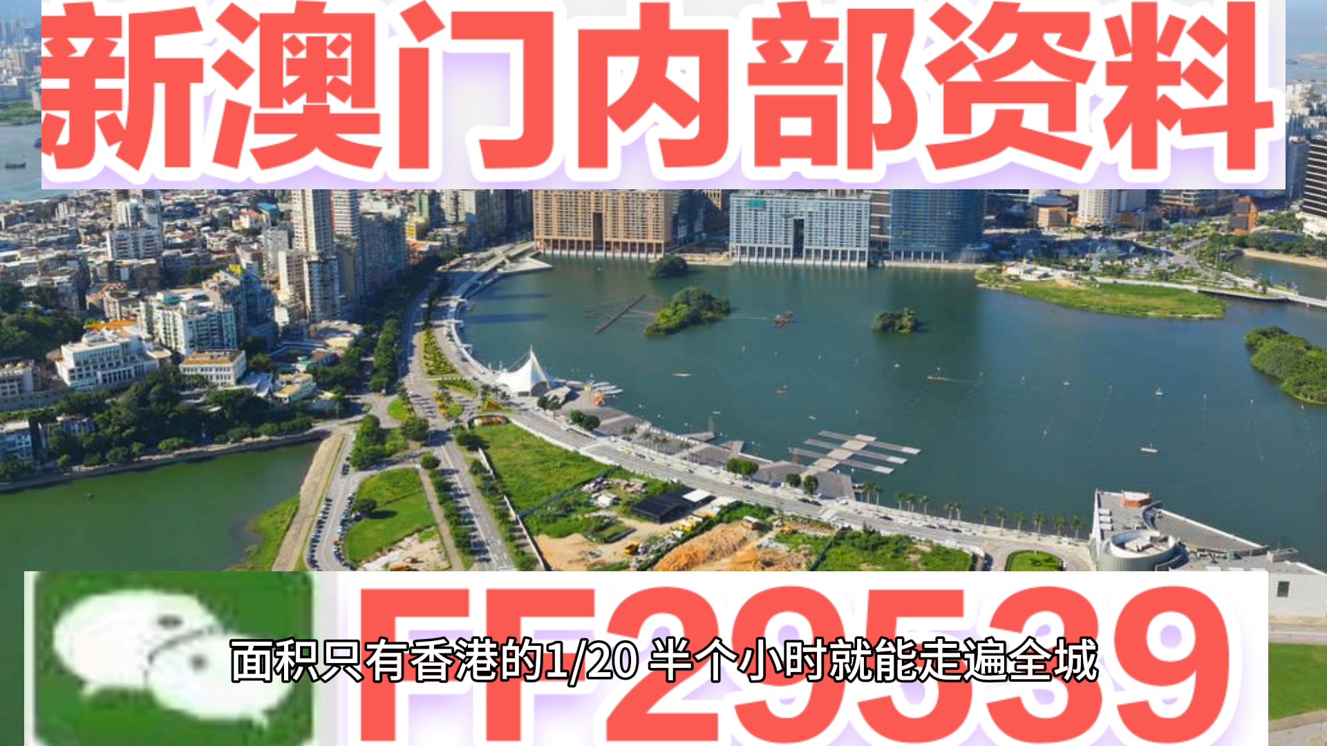 2024今晚新澳门开奖号码,专业解读评估_持久版98.480