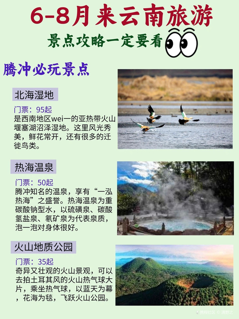 最新信息发展动态，探索自然美景的治愈旅行