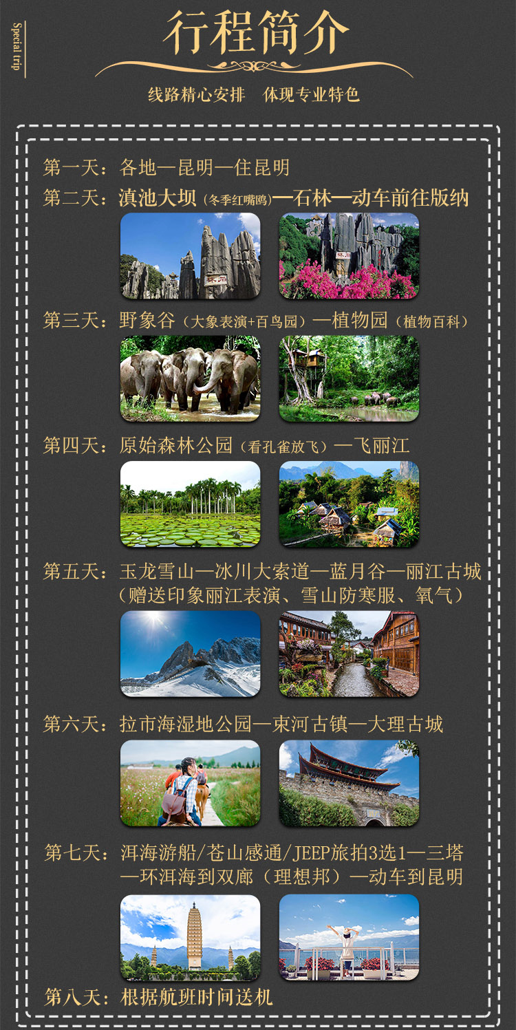 最新信息发展动态,探索自然美景的治愈旅行