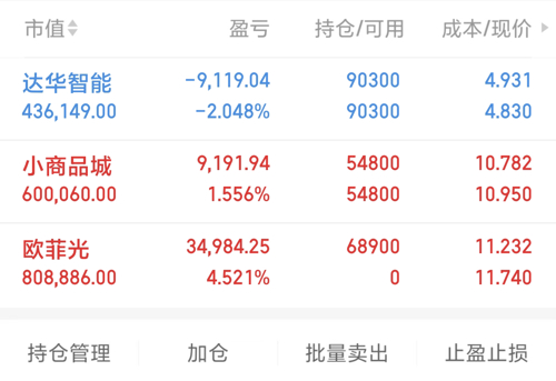 达华智能股票,小巷中的隐藏宝藏,探索特色小店的无限魅力