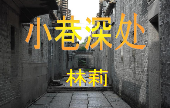 微信2017最新版,巷弄深处的惊喜——探索隐藏在小巷中的特色小店